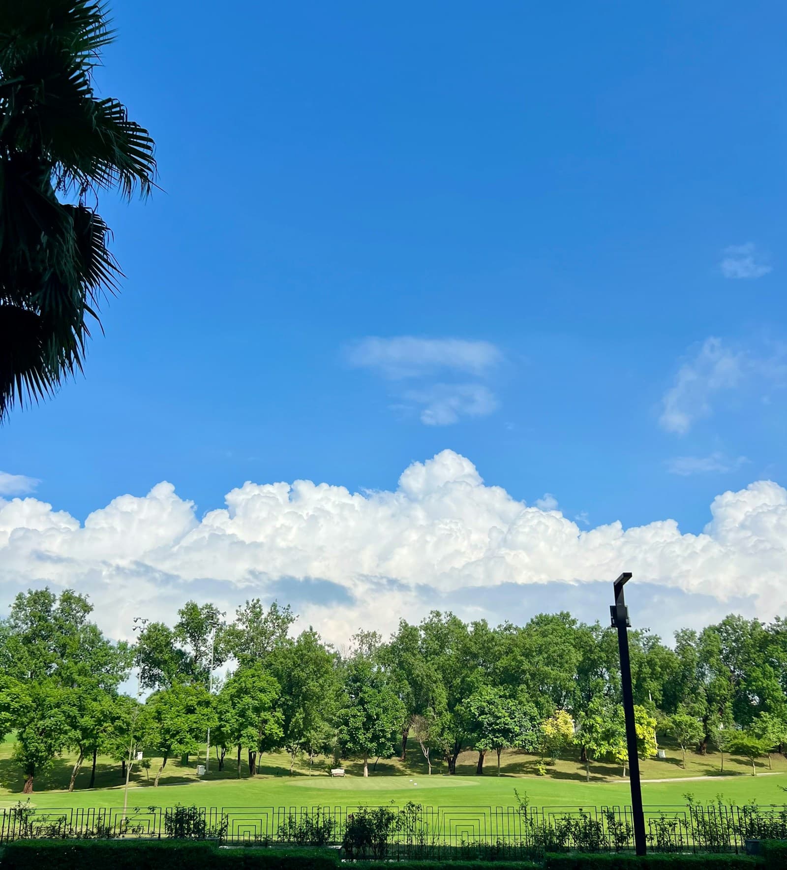 SaveShot live map tracking shots on a golf course